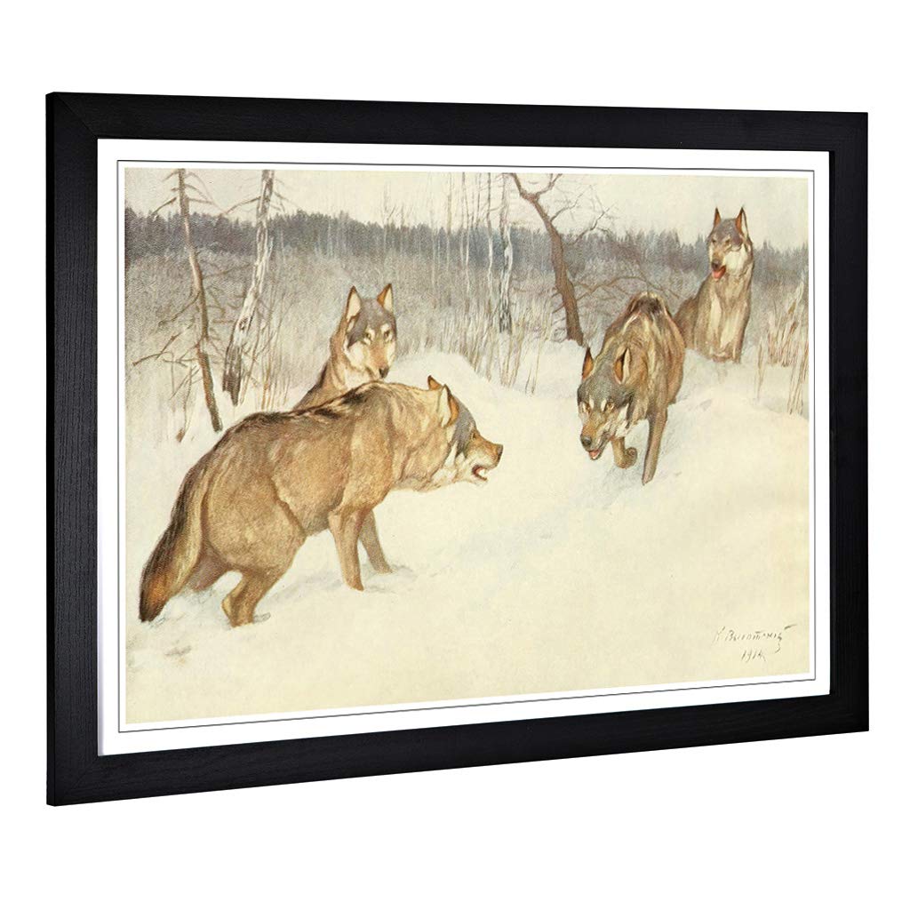 Big Box Art Framed Print of Vintage Brehms Tierleben 1911-14 Wolf Design | Wall Art Picture | Home Decor for Kitchen, Living Room, Bedroom, Hallway, Black, A2 / 24.5x18 Inch / 62x45cm