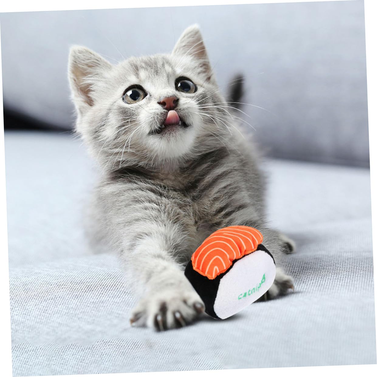 VANZACK 9stücke Interaktive Katzenminze Spielzeuge Plüsch Spielzeug Mit Quietscher Für Zahnreinigung Und Spielerische Beschäftigung Für Katzenliebhaber Und Haustiere