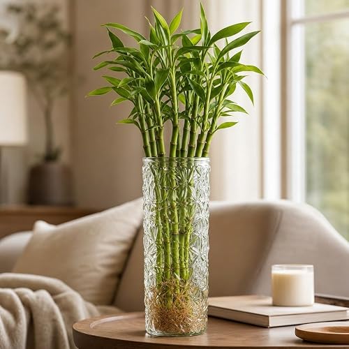 9 Inch Lucky Bamboo Vase, Clear Diamond Cut Hydroponic Glass Vase for Flowers, Unique Modern Table Centerpiece, Indoor Desk Home Decor for Wedding Housewarming Gift