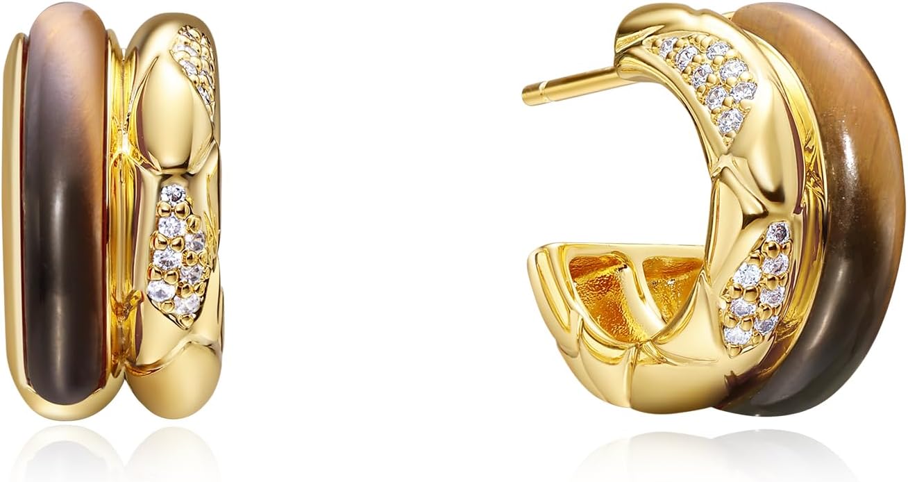 New Year Series Snake-Pattern Auspicious Double Hoop Earrings, 18K Gold Plating Mother of Pearl with Cubic Zirconia Earrings S925 Silver Posts (Silver/Red/Amber)