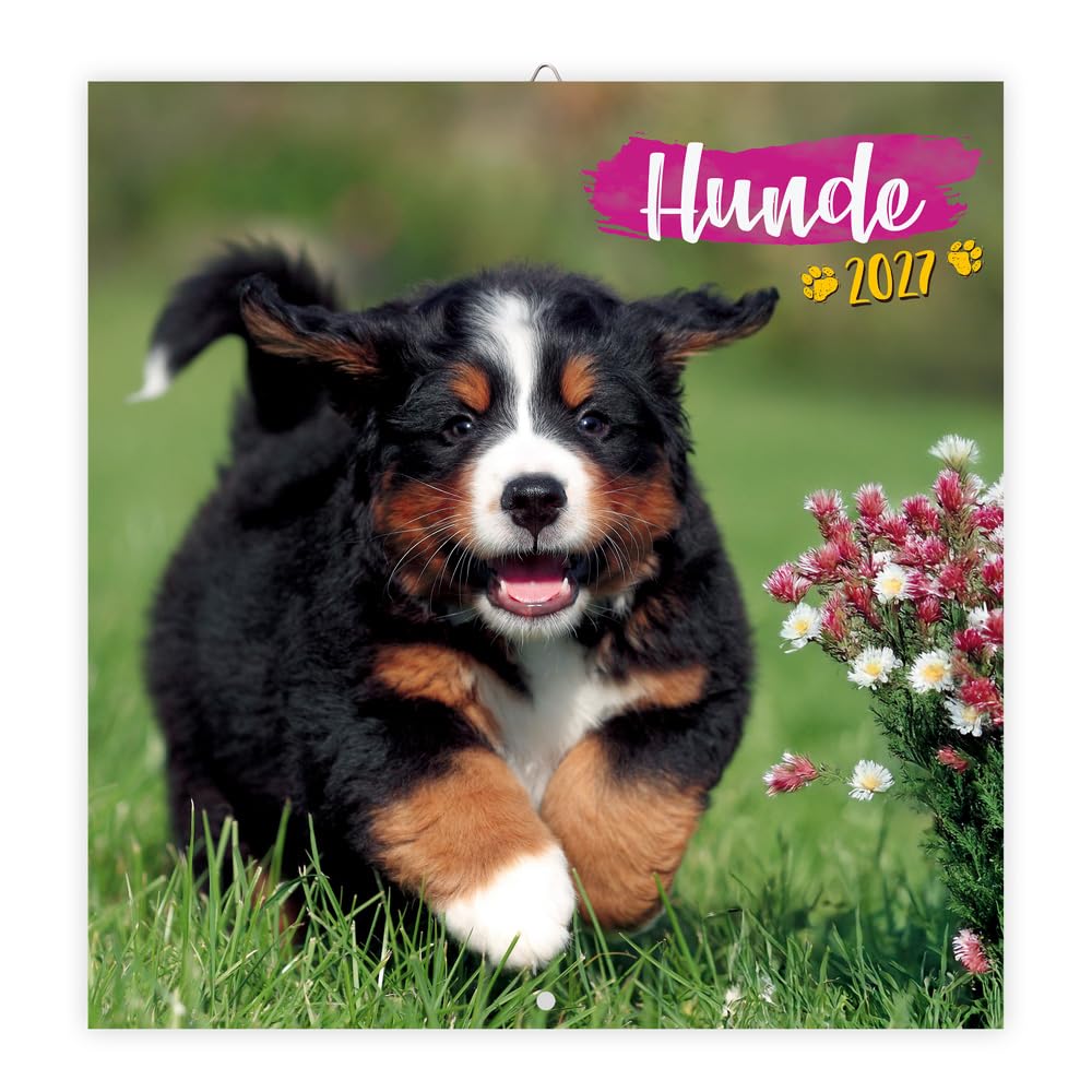 TRÖTSCH - Broschürenkalender Hunde 2027: Wandplaner