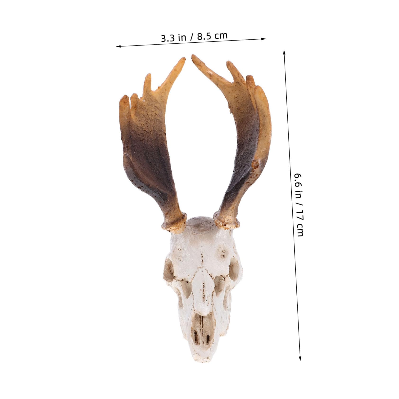 Toddmomy 3stücke Reptile Tank Dekoration Deer Skull Versteck Höhle Für Reptilien Baumaterialien Für Terraristische Pflegeleichtes Harzdesign