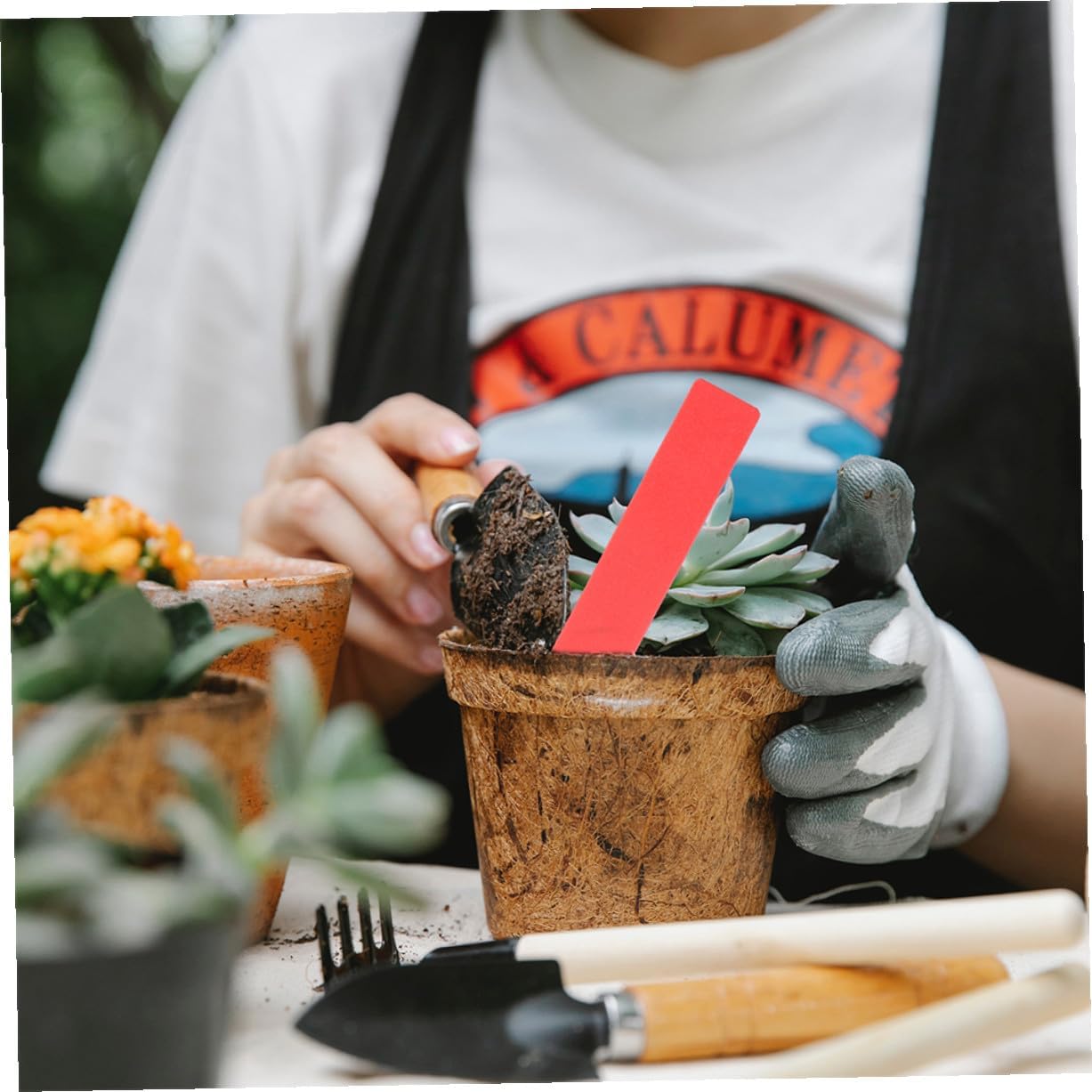 600Pcs Multi-Color Plant Labels Stakes Plastic Garden Markers for Flowers Vegetables Seedlings and Potted Plants Weather-Resistant Garden Tags for Outdoor Use