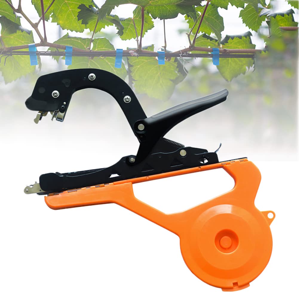 Outil de ruban adhésif pour plantes de jardin pour sublimer vos raisins et tomates