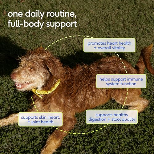 Image of Native Pet Omega 3 Fish Oil for Dogs 8Oz & Probiotics for Dogs 8.2Oz Powder Food Topper - Fish Oil & Dog Probiotic Powder - Supports Skin, Coat, Gut Health, Heart & Digestion - Vet Formulated