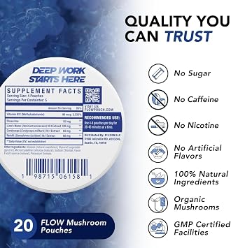 Flow Pouches Mushroom Nootropic Pouches - 600mg Organic Mushroom Energy Ultra Pouches with Lion's Mane, Reishi, Cordyceps for Focus & Clean Energy - Zero Caffeine or Sugar (5 Can Pack, Blue Razz)