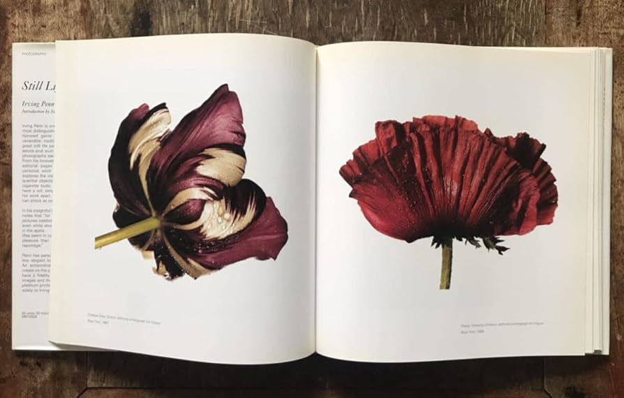Still Life:Irving Penn 1938-2000 アービングペン STILL LIFE Irving Penn photographs 1938-2000アーヴィング