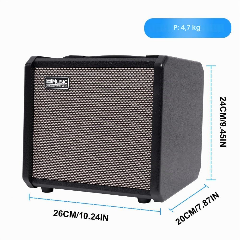 TS20 Bass Combo Amp 20W 6.5" altoparlante overdrive Mid-Scoop