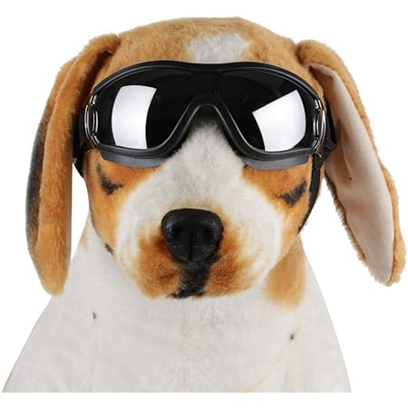 Amazon Co Jp ペットゴーグル透明ペット犬サングラス保護防風飛散防止ゴーグルペットアイガード犬水泳猫と犬スケートグラス ペット用品