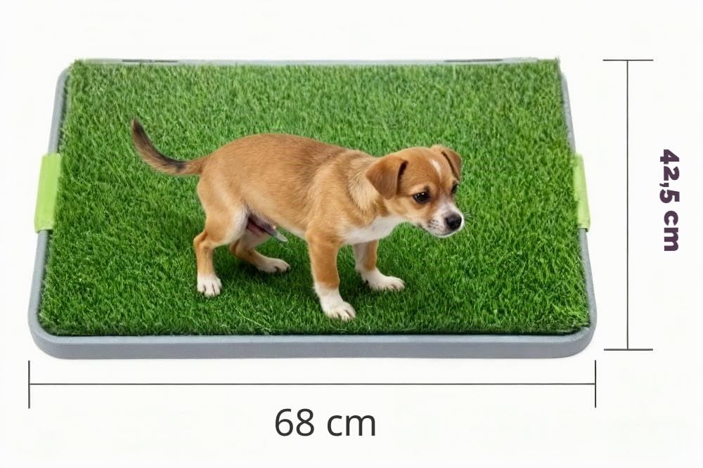 Bac de toilette pour chien avec tapis lavable pour pipi et gazon artificiel pour chiens chiots, litière portative pour chien d'intérieur