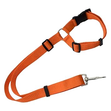 CALANDIS Dog Seat Belt Leash Car Harness Pet Seatbelt Strap Orange