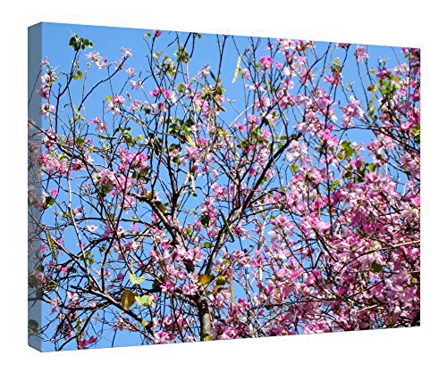 Toile encadrée en bois Pretty Blooming pour sublimer l'ambiance de votre salon