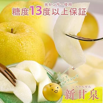 vivitan　二重＆遮光パッケージで賞味期限5年、常備梅　10点セット Amazon.co.jp: 風味絶佳.山陰 梨 光センサー糖度13度以上保証 新