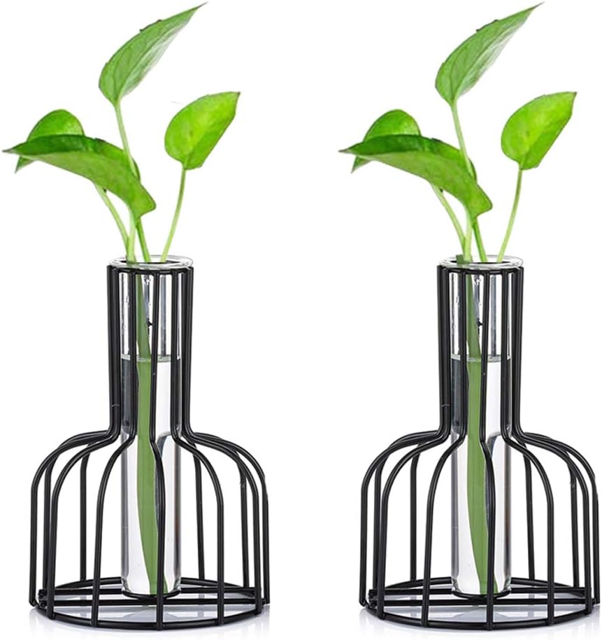 Glass Propagation Station with Metal Frame, Set of 2 Black Flower Vase, Test Tube Vases for Hydroponic Plant, Small Bud Vase for Home Kitchen Office Table Top Decor, Black