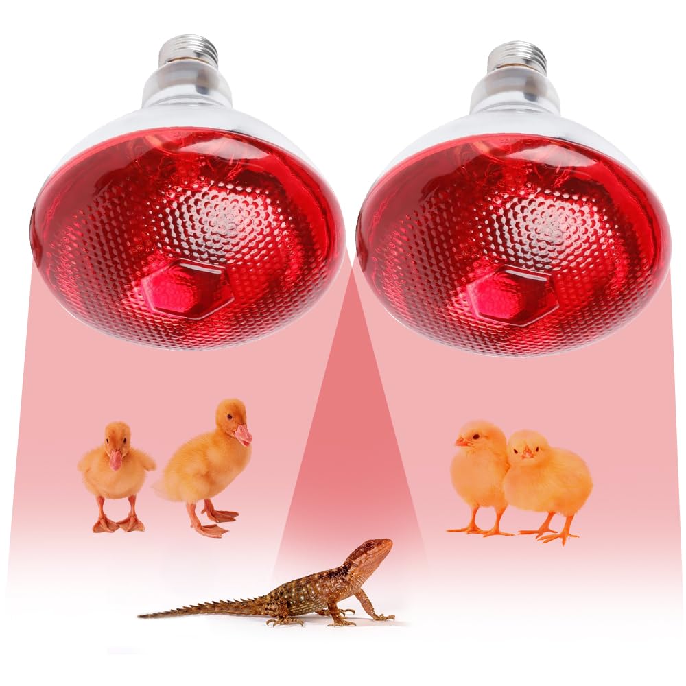 KBIBCK 2Pcs Infrared Heat Lamp Bulb, 250W Infrared Reptile Heat Lamp Bulb, Infrared Glass Bulb, Waterproof Basking Spot Red Heat Light for Poultry Chicks Puppy Cats Pigs Lizard Tortoise Bearded Dragon