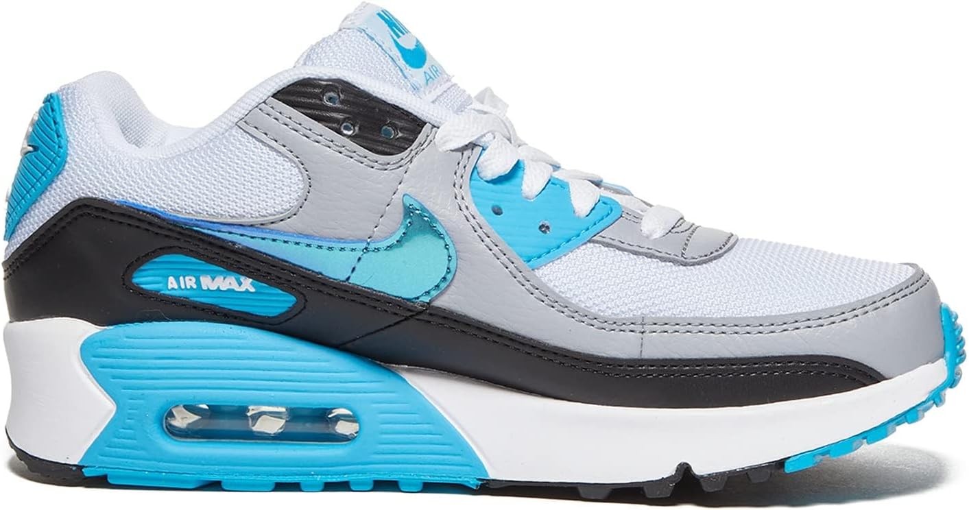Nike Air Max 90 (Big Kid)