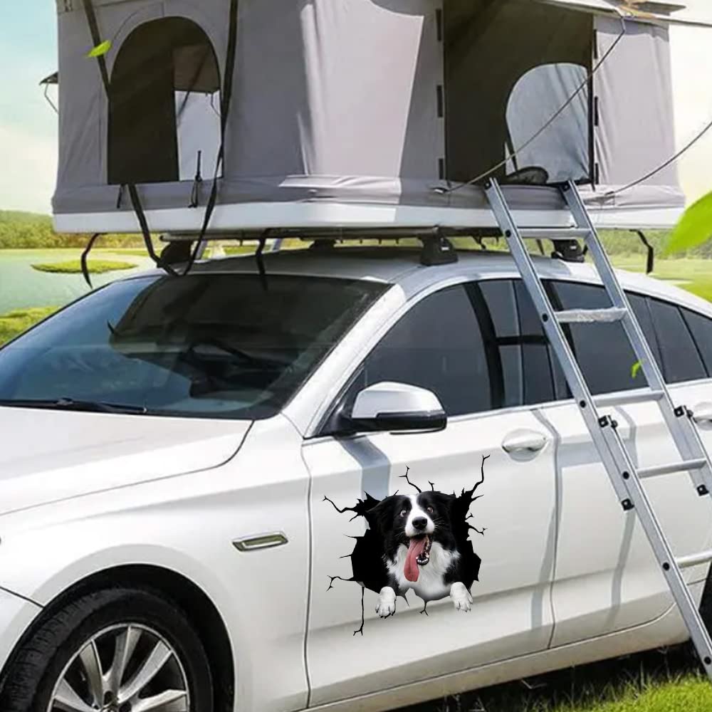 Cute Border Collie Crack 3D naklejka samochodowa, szyba SUV-a, spersonalizowana dekoracja, nadaje się również do lodówki, toalety, notebooka