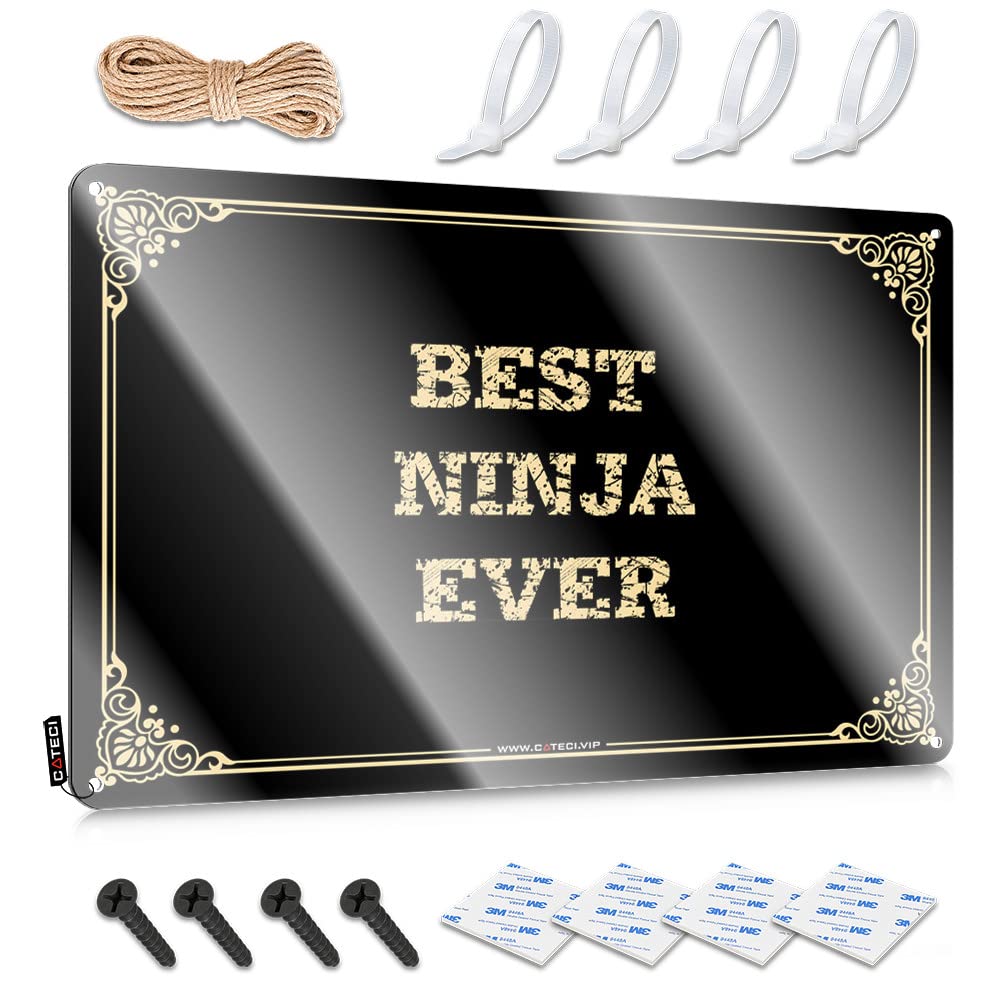 Vpguqarfr Colour Cool Wall Art Artwork Ready To Hang - Best Ninja Ever Return For Dart(20X30cm)