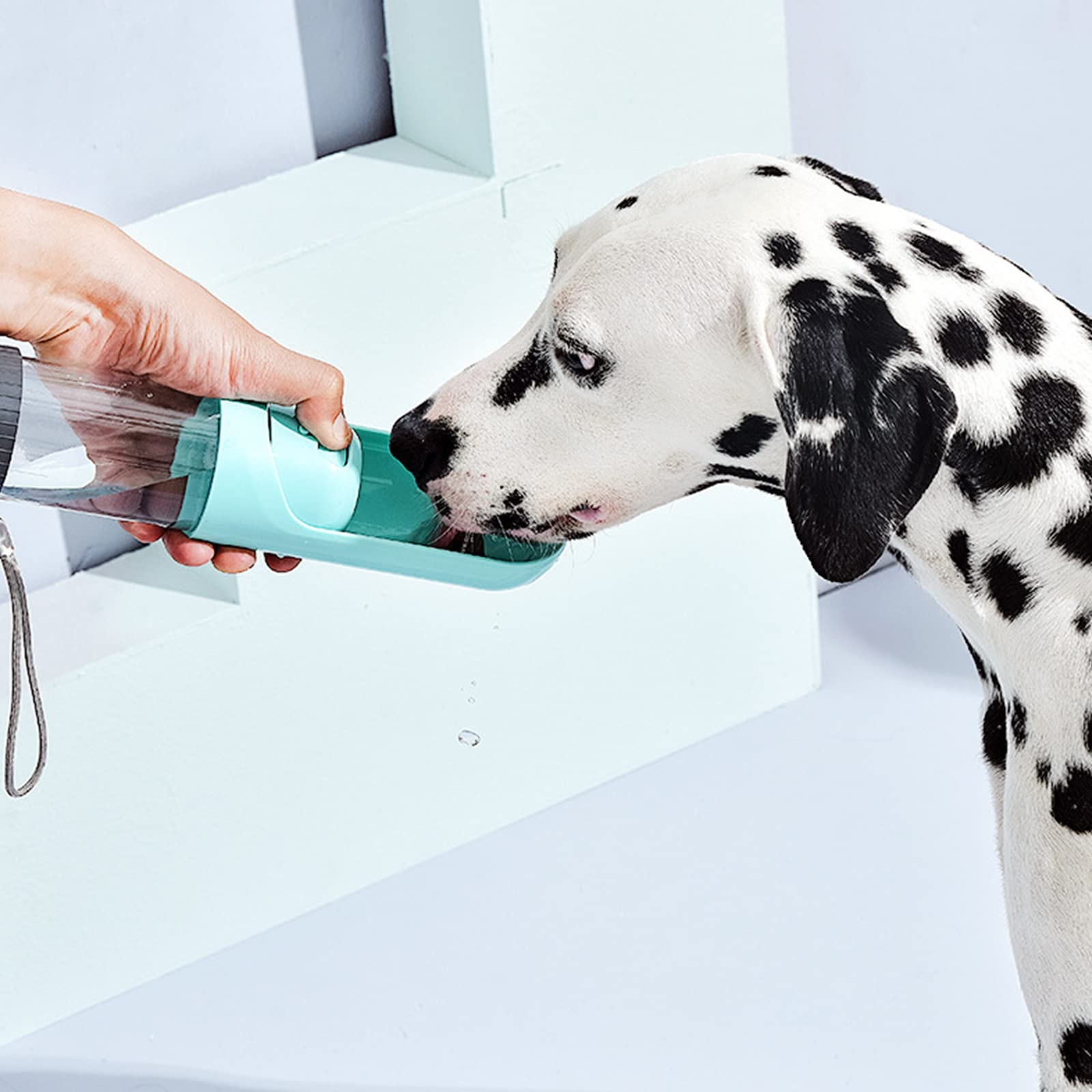 Taza de Acompañamiento para Mascotas Taza Portátil para Beber al Aire Libre, Hervidor de Agua para Alimentación de Perros Salir a Beber Agua Limpia Pasear al Perro Viajar Beber