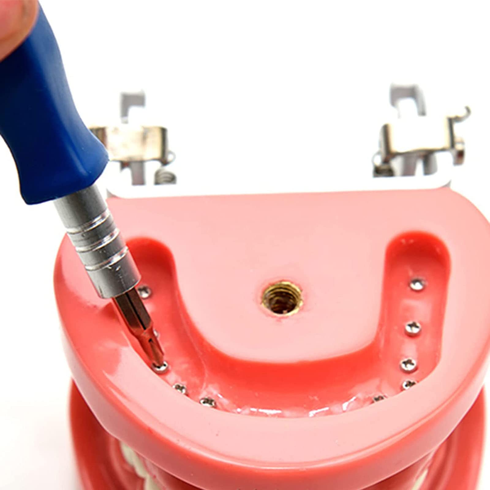 Modèles et Moyens d'enseignement Médical，Squelette Anatomique， Modèle de Dents Modèle de dent Dentaire pour Enfant avec 28 Dents Amovibles et gencives Souples M