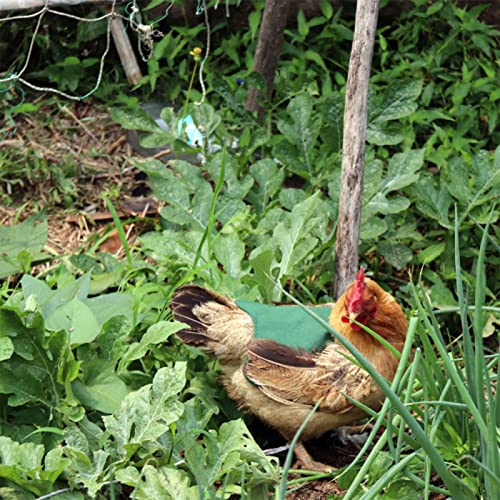 Huhn Weste,WideSmart Hühnersattel Hühner Warnweste Huhn Kleidung Geflügel Henne Sattel Henne Sattel Schürze Federschutzhalter Chicken Duck Wing Rückenprotektor Schürze für Huhn Ente Rückenschutz Jack