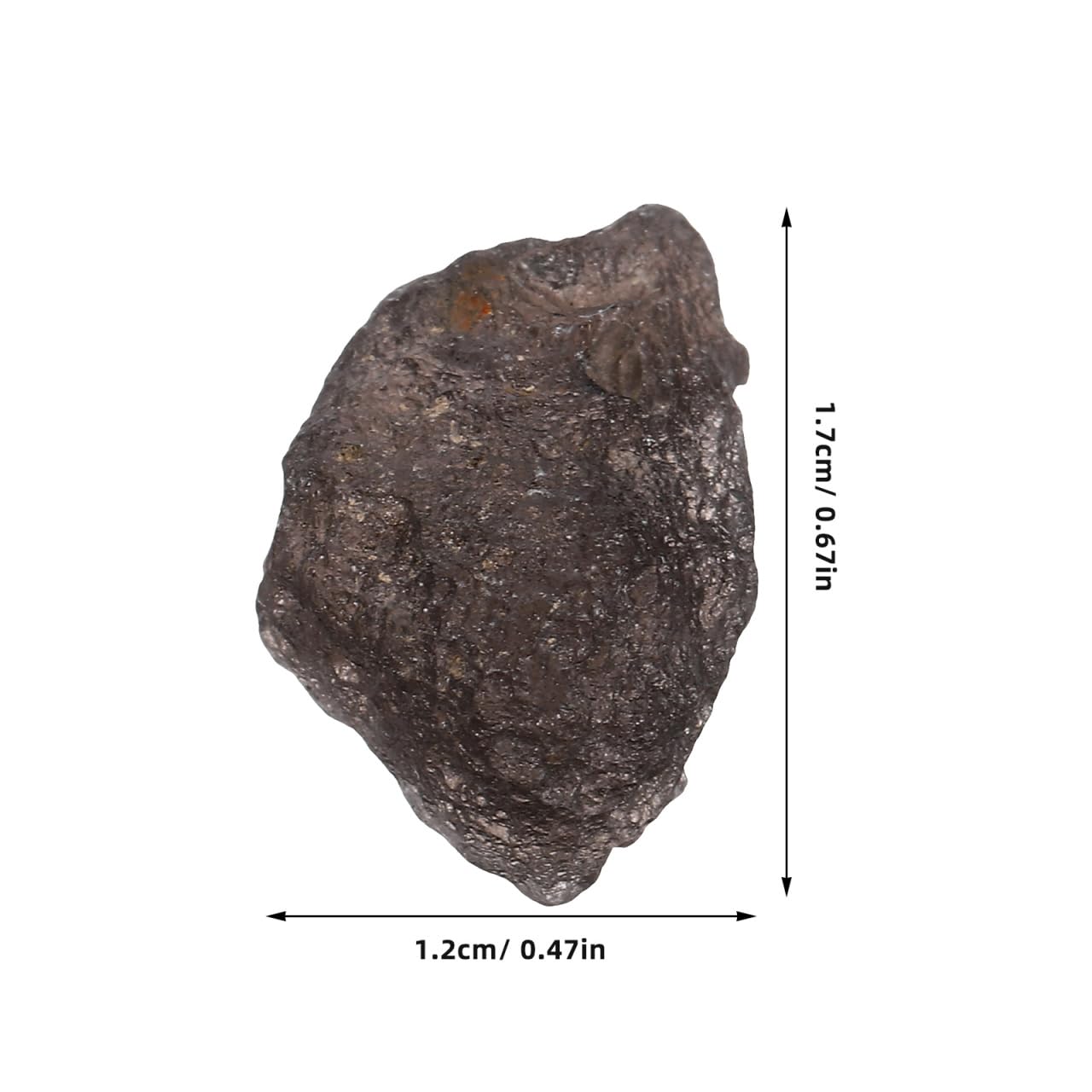 VICASKY Meteorite Star Irregular Rock Sample for Science Teaching and Collection Natural Stones from Space - Image 2
