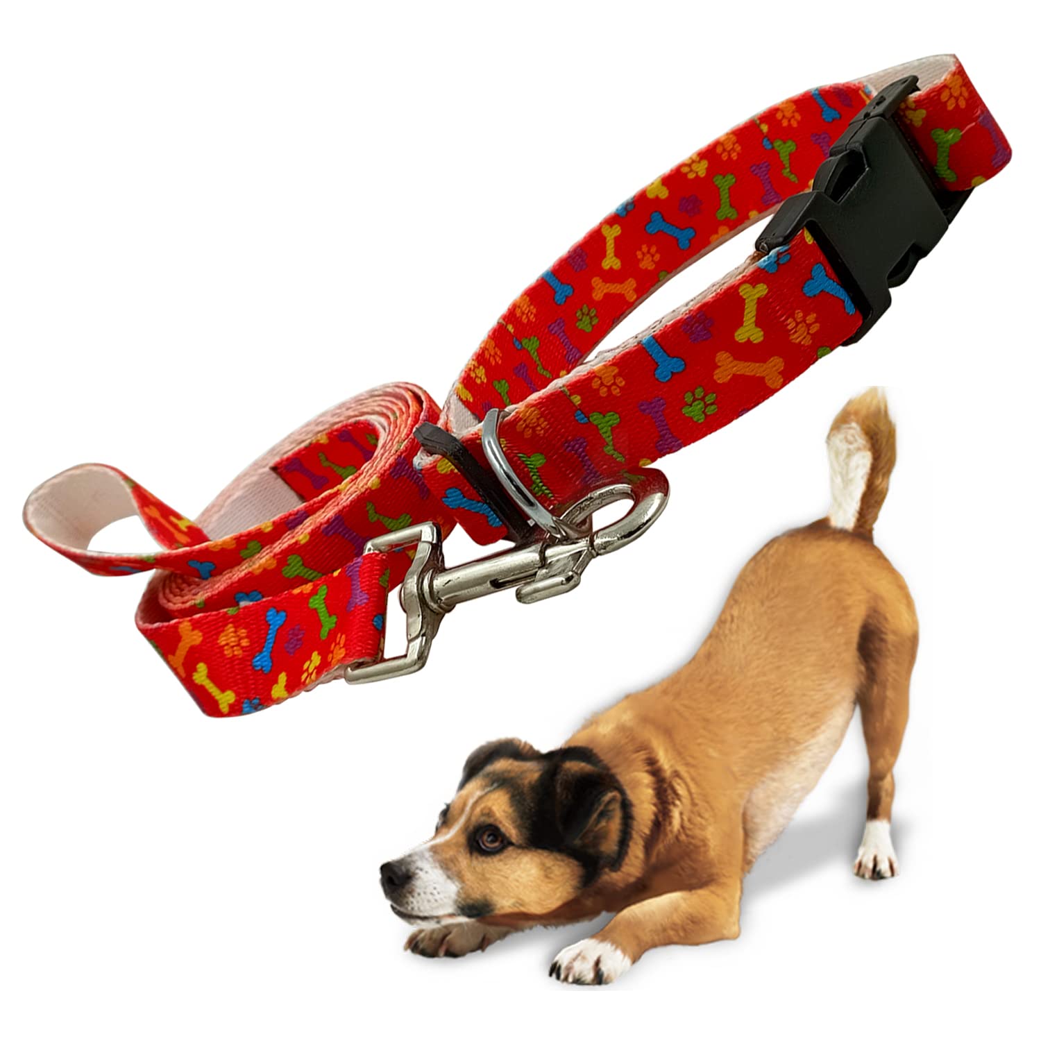 Jainsons Pet Products Dog Collar and Leash Set, Nylon Pet Leash with Matching Adjustable Collar for Small Medium and Large Dogs, Leash and Collar for Dog Puppy Cat (1 inch Leash Collar) (B09PRKPJW4) Amazon Price History, Amazon Price Tracker