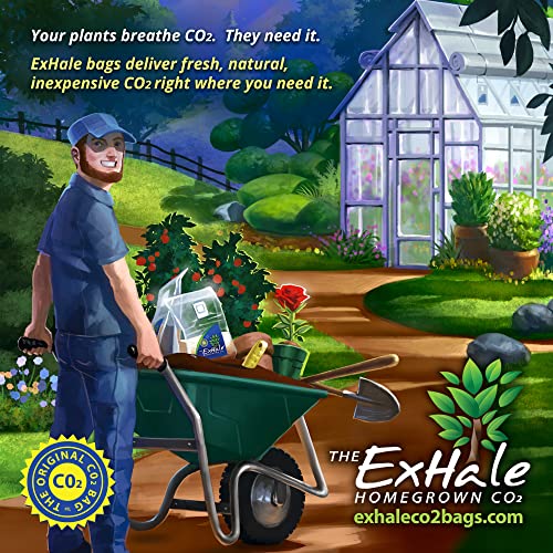 ExHale CO2 Original Bag