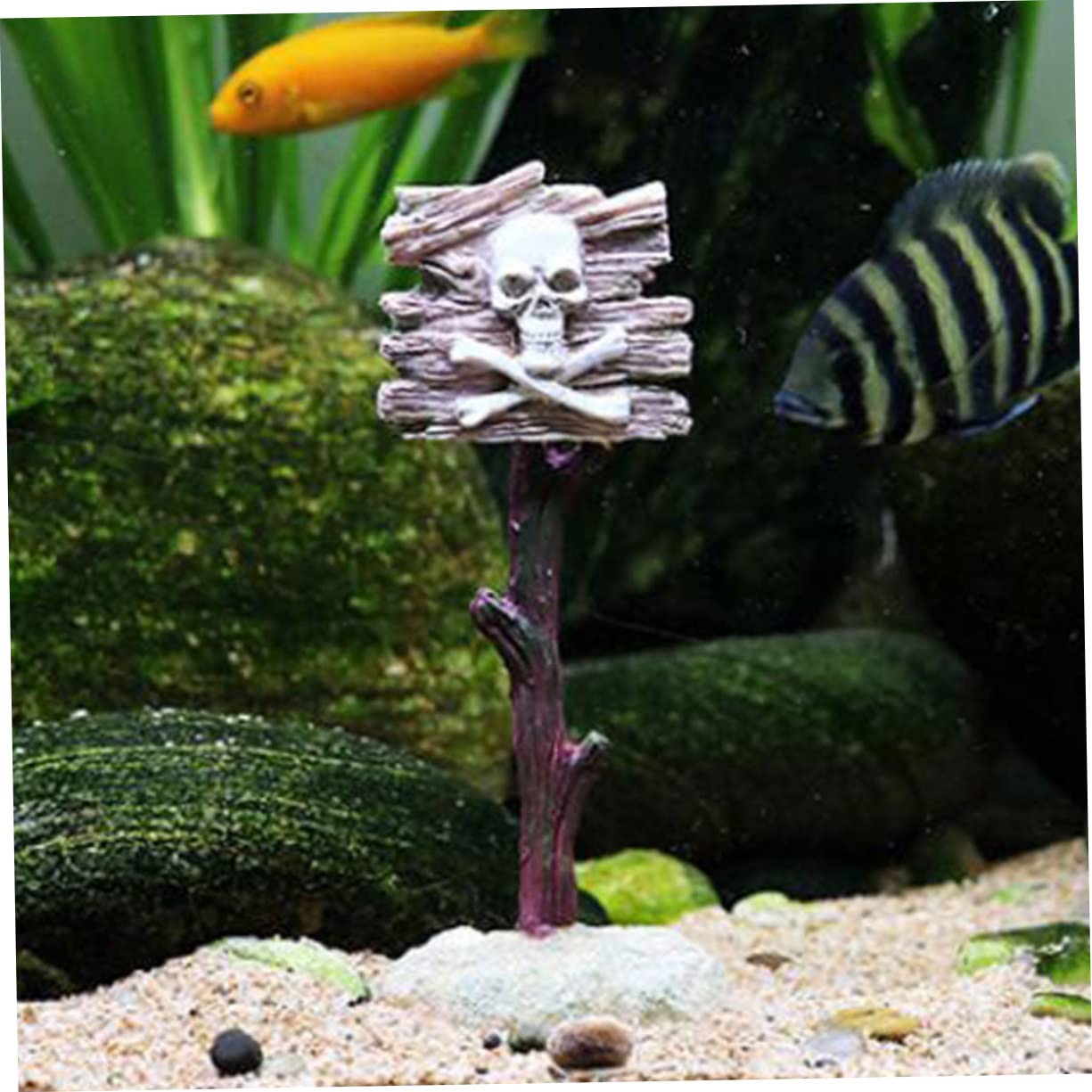 Sosoport 5 Ensembles Aquascaping Aquarium Mangeoire Roches D'aquarium Filtres D'aquarium Grotte À Poissons Grandes Décorations D'aquarium Petit Aquarium Refuges Résine 3 Pièces * 5