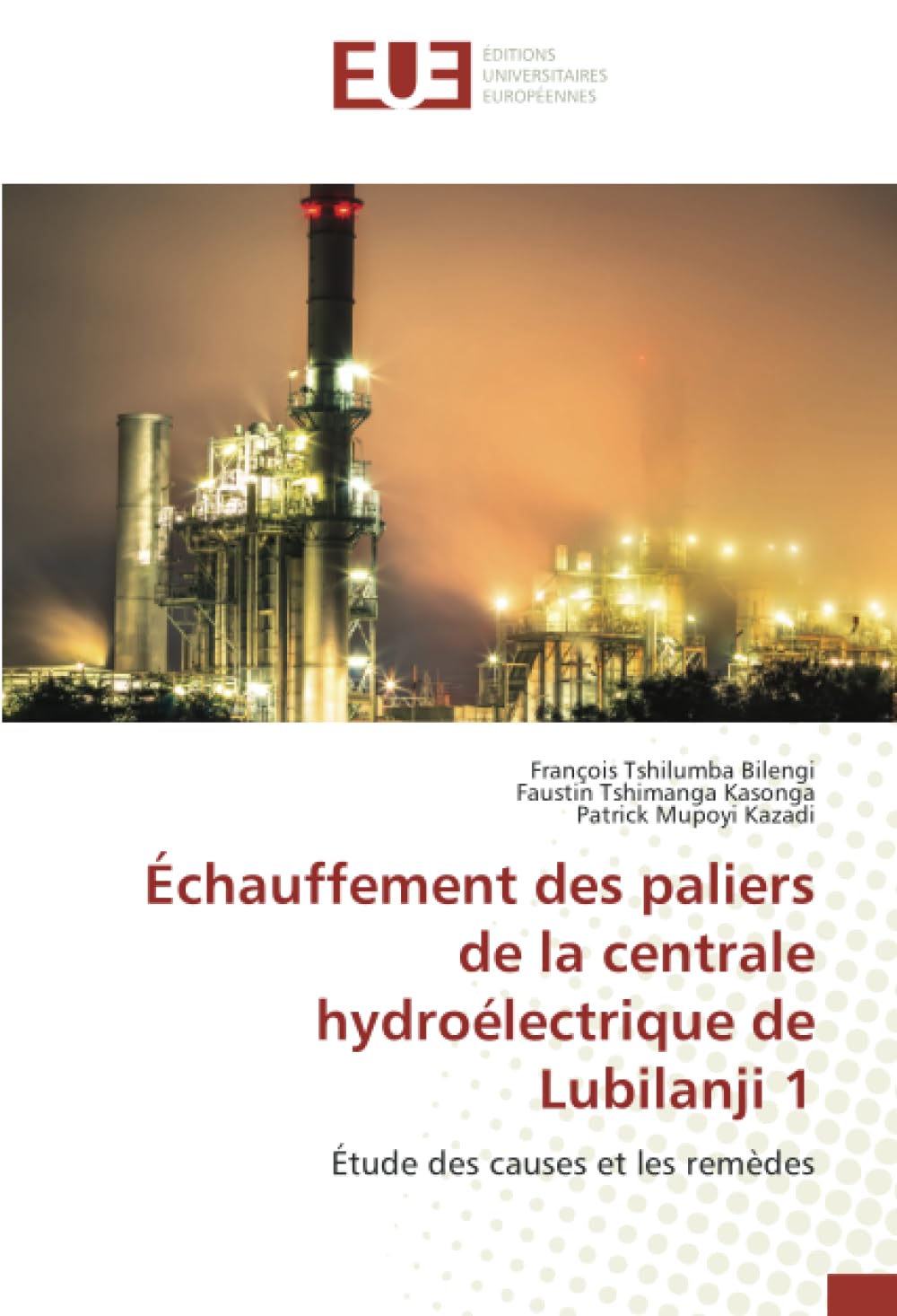 Échauffement des paliers de la centrale hydroélectrique de Lubilanji 1: Étude des causes et les remèdes