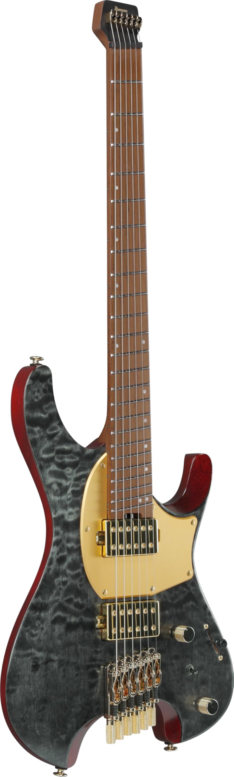 Amazon.com: Ibanez MGFM10 Manuel Gardner Fernandes Signature