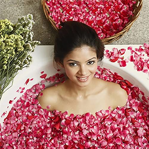 20g Pétalos de Rosa Secos Naturales para Decoración miniatura 6