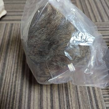 超レア新品未開封:茶臼山動物園限定☆ウォレスとモモコのリアルぬいぐるみペアセット 長野市茶臼山動物園 ウォンバット モモコ ぬいぐるみ - メルカリ