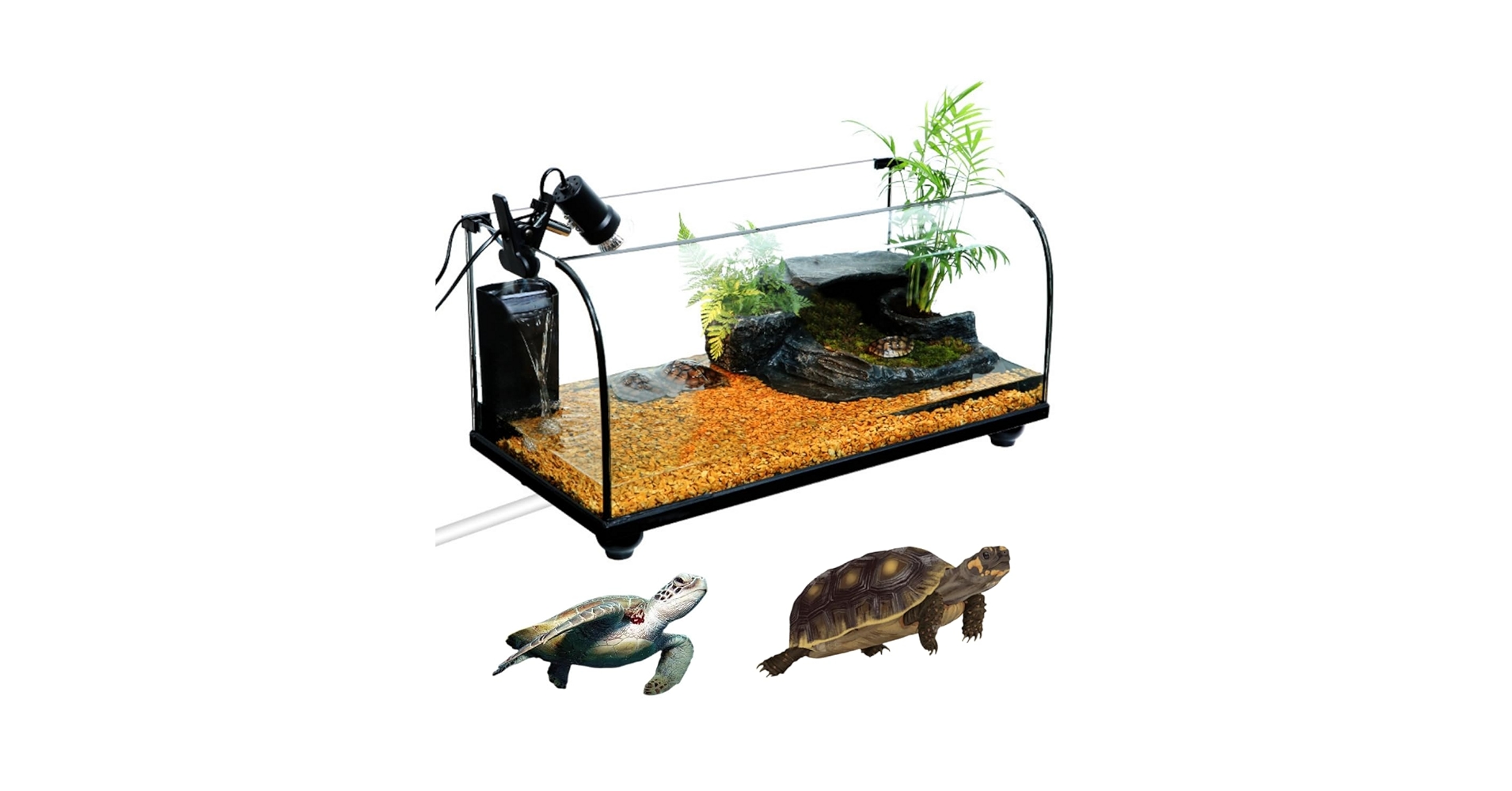 Amazon | JOGIO亀 水槽 大きい タートルタンク カメ用水槽 カメ