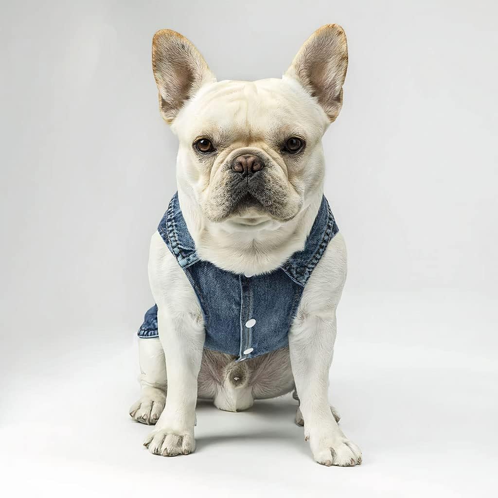 Dog with Sunglasses Dog Denim Vest - Funny Dog Denim Jacket - Printed Dog Clothing - M