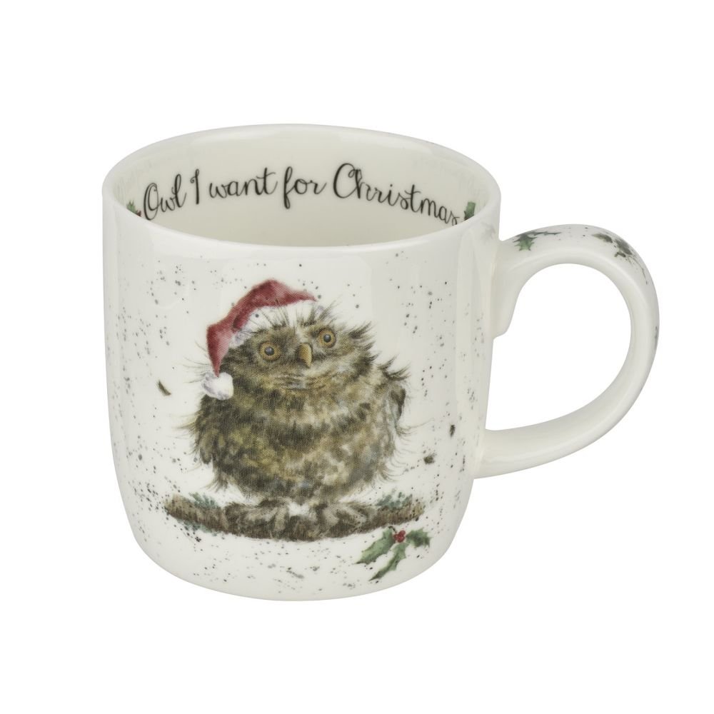 Portmeirion Multi-Coloured Royal Worcester, Owl I Want For Christmas (Owl) Single Mug,