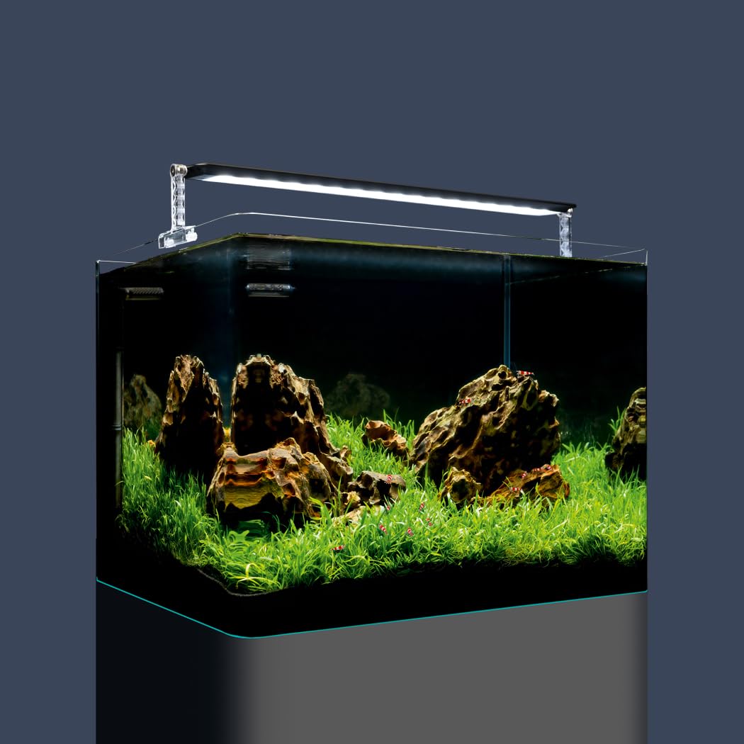 Dennerle Nano Tank Plant Pro 55 litros