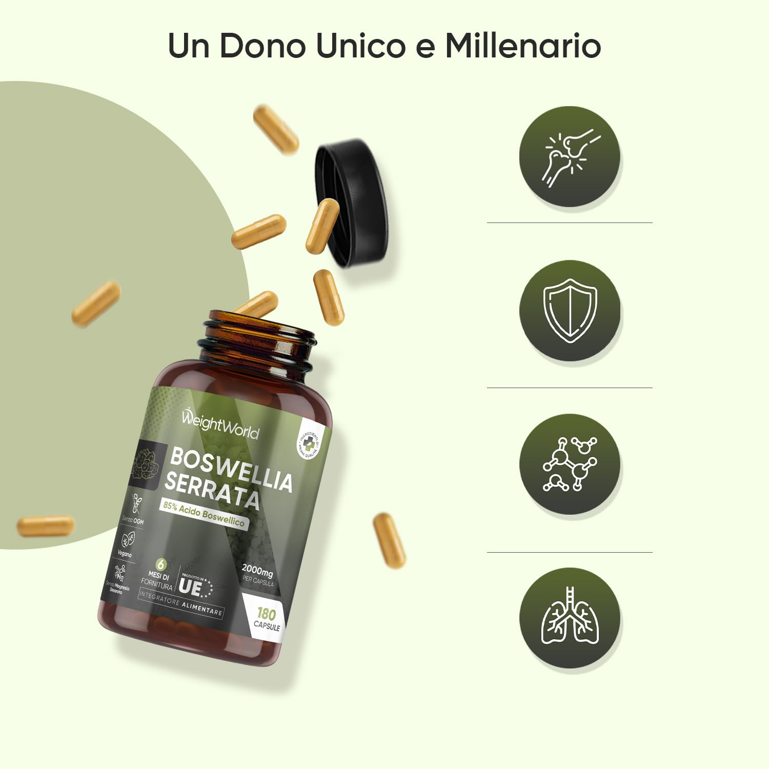 Boswellia Serrata WeightWorld, 180 Capsule Vegane (6 Mesi) da 2000mg, 85% Acidi Boswellici, Estratto 5:1, 1 Sola Capsula al Giorno, Boswellia Integratore, Senza Magnesio Stearato, Prodotto in Europa