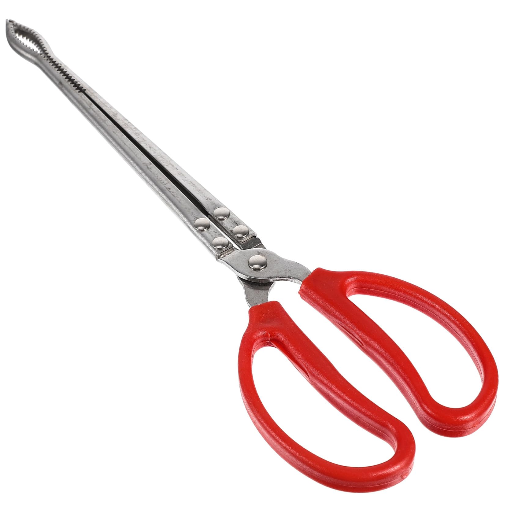 Multifunktions Zange aus Edelstahl 38cm Langer Fischclip und Krabbenzange für Meeresfischfang Anti Rutsch Design für Tintenfisch und Aal
