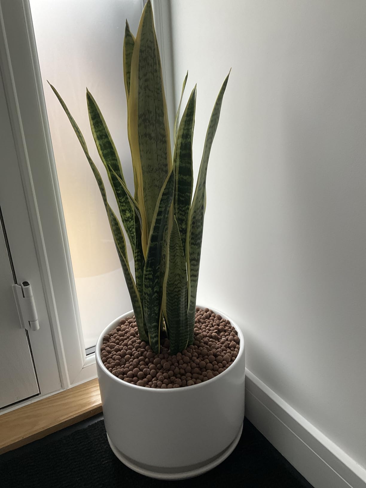 Customer photo