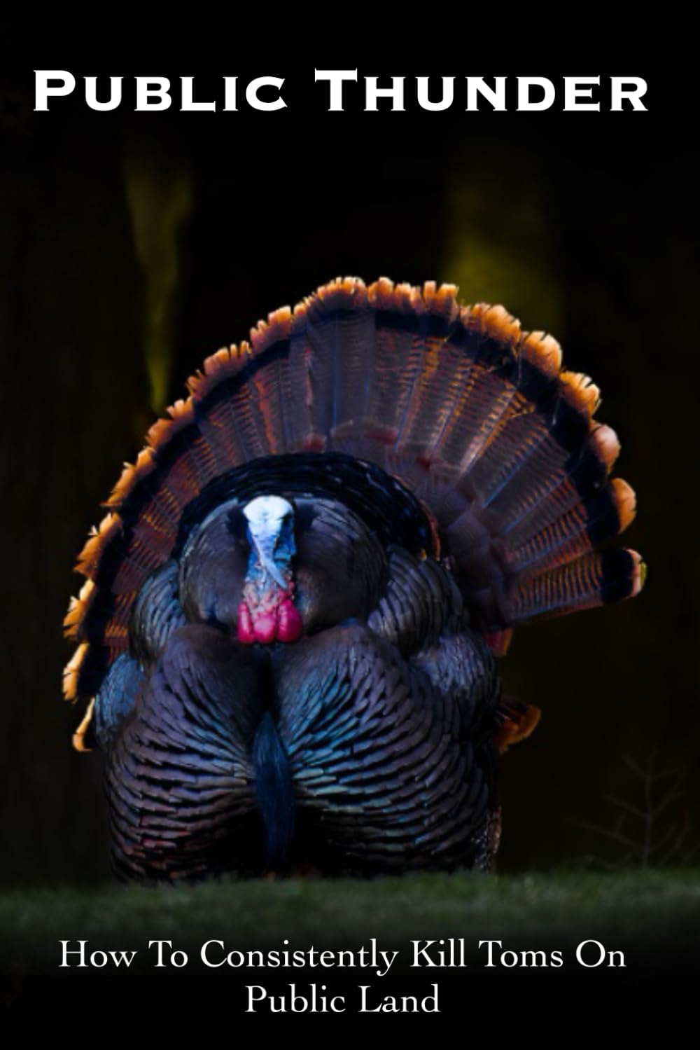 Public Thunder: How To Consistently Kill Toms On Public Land