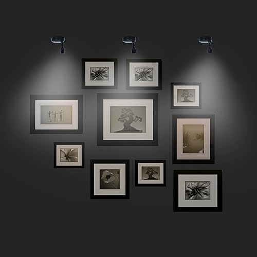 Miniatura 6 de BERGUSTCH Foco RGB alimentado por pilas, luz LED para imágenes, iluminación ascendente interior para plantas, luces de disco con control remoto,