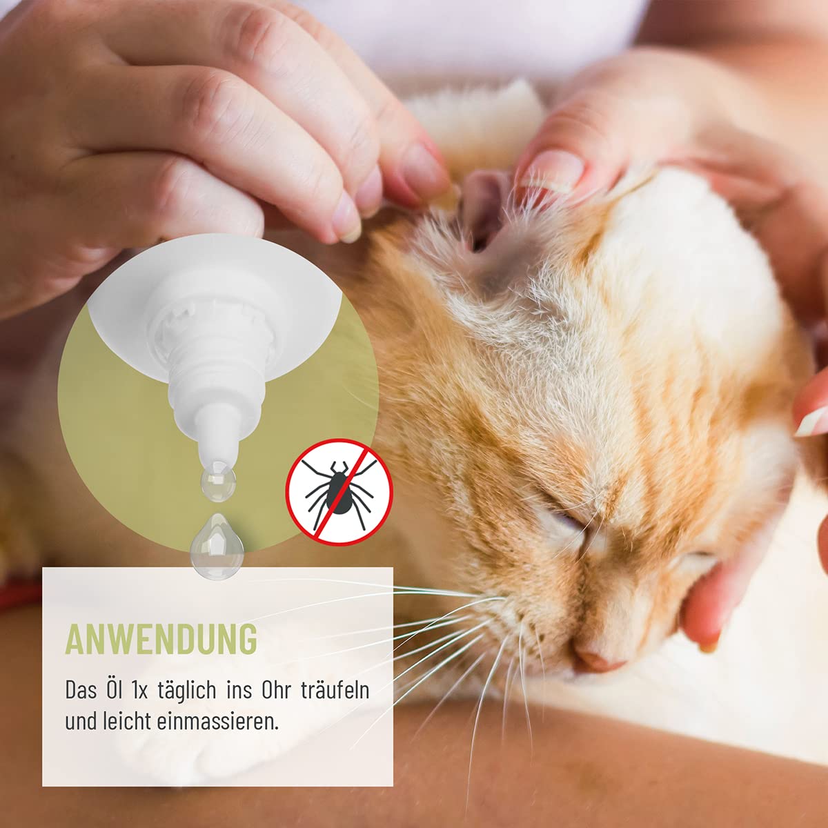 ReaVET Aceite para Ácaros de Oído Plus 50ml - Tratamiento rápido para Gatos contra ácaros de oído, con manzanilla, Alivia la picazón y Limpia Suavemente los oídos. Gotas para oídos y Limpiador