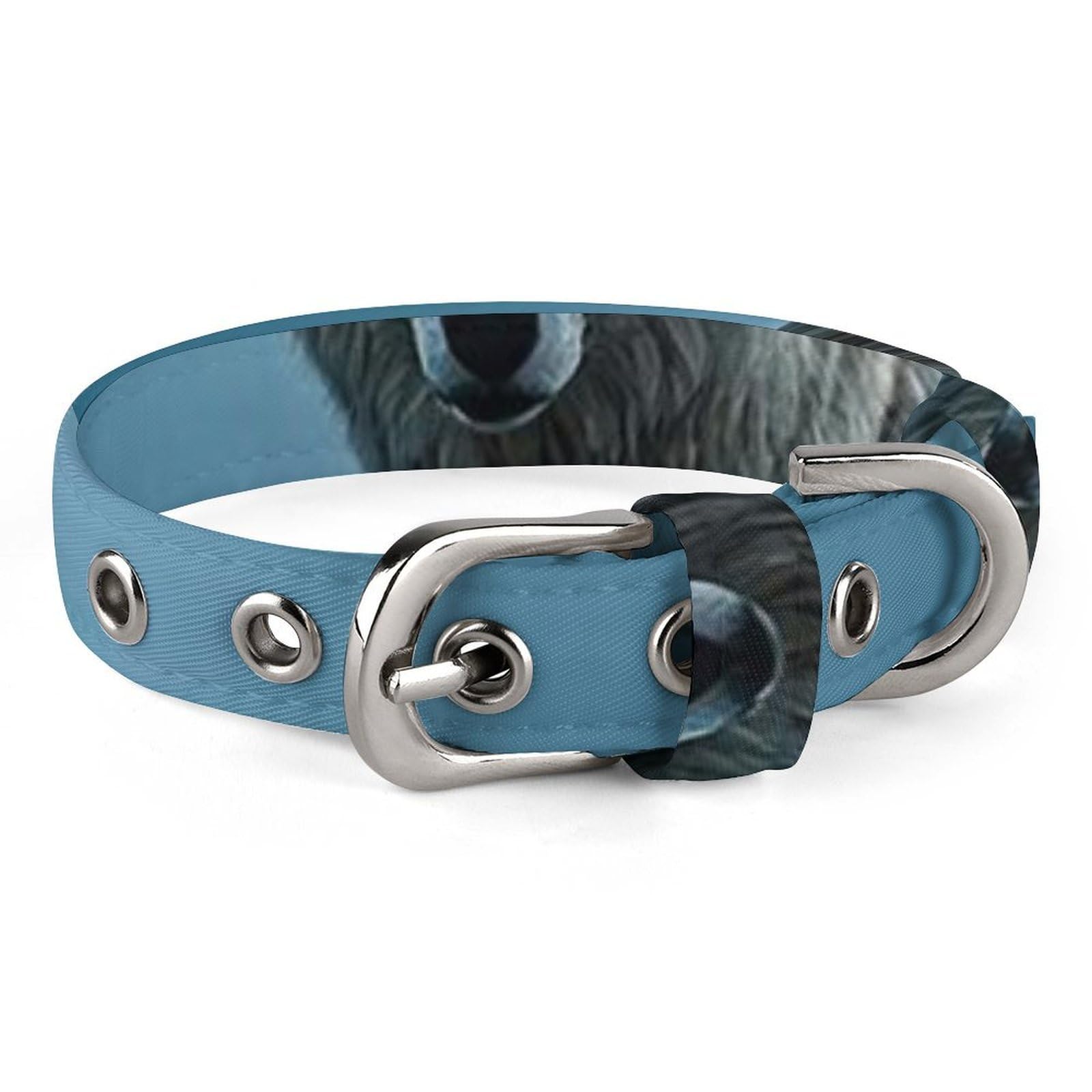 Collier pour chien réglable et doux pour le bien-être de votre compagnon