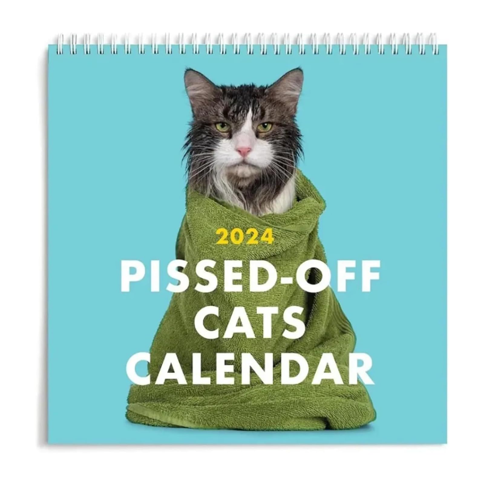 2024 Cats Calendar, Funny Cat Wall Calendar for Cat Lovers Cute Monthly Calendars Decorations Calendar Cat Hanging Calendar for New Year Gift (Cat)