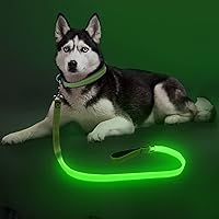 Colaseeme LED Light Up Dog Leash - USB Rechargeable Glow Safety Leash, 500ft Visibility Reflective Wires for Night Walks (4FT Green)