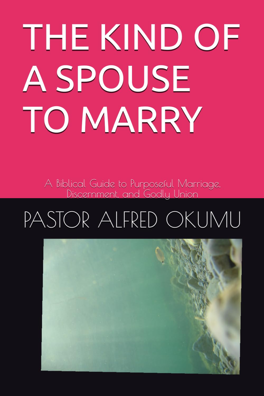 THE KIND OF A SPOUSE TO MARRY: A Biblical Guide to Purposeful Marriage, Discernment, and Godly Union