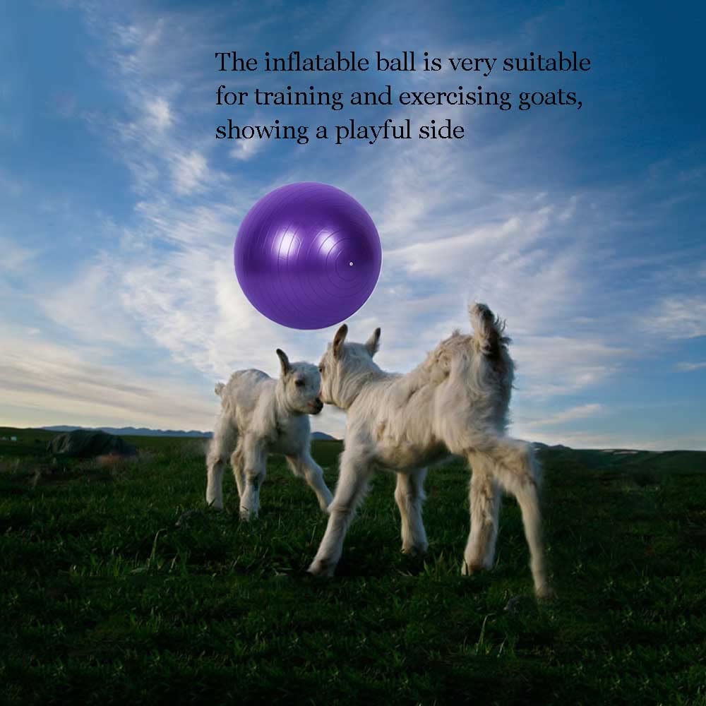 Balle de yoga de chèvre - Jouet d'entraînement anti-éclatement avec pompe de gonflage pour chèvre et agneau - 55,9 cm - Violet