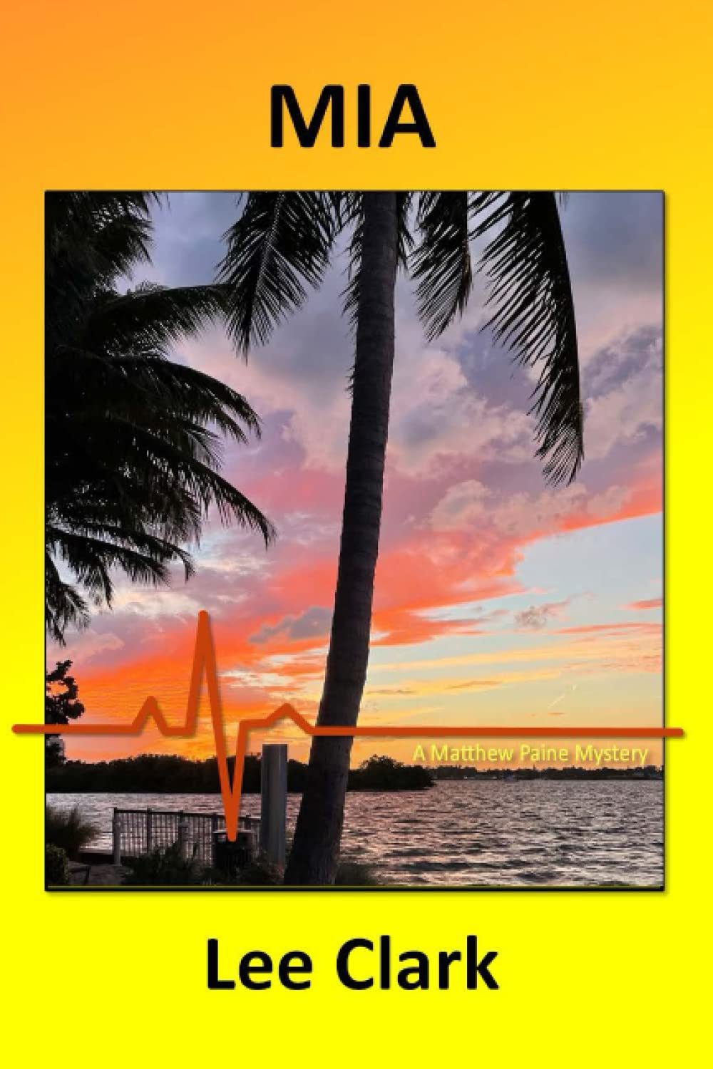 MIA: A Matthew Paine Mystery