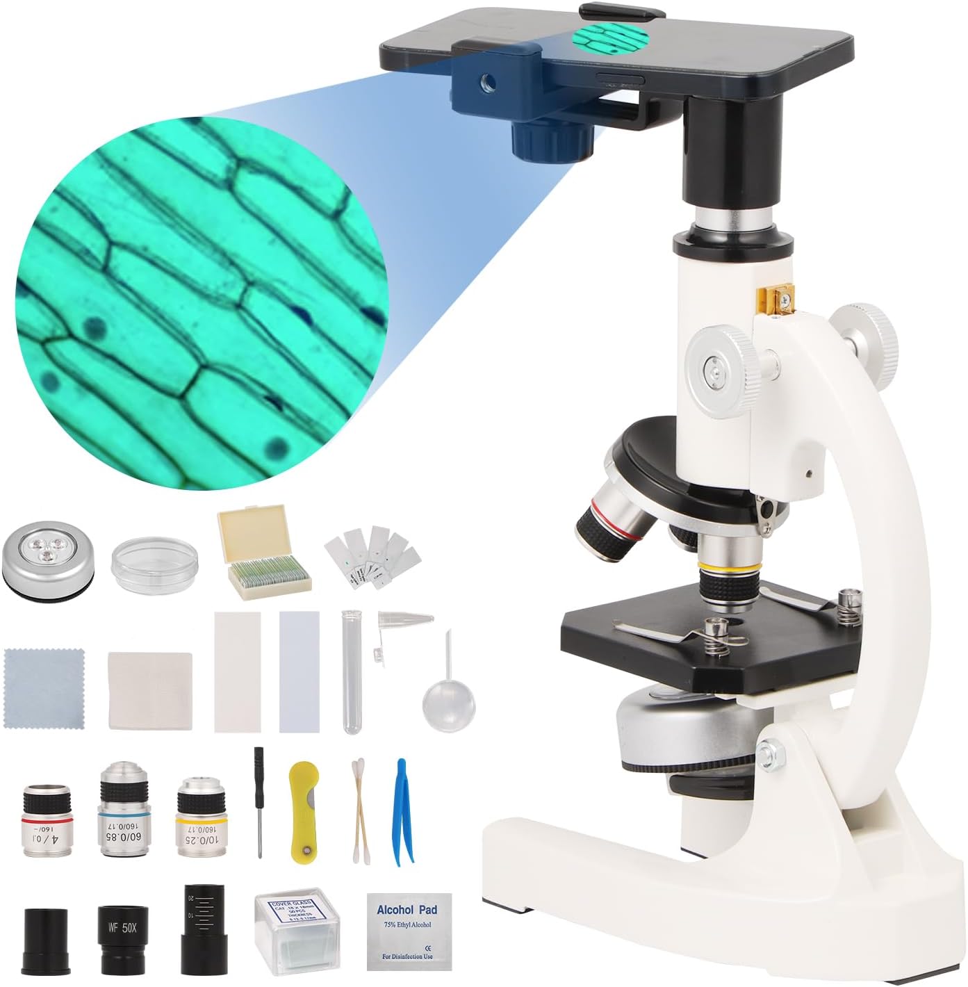 PSA10 ユニオンアリーナ 星3 パラレル 竈門炭治郎 鬼滅の刃 - WWW